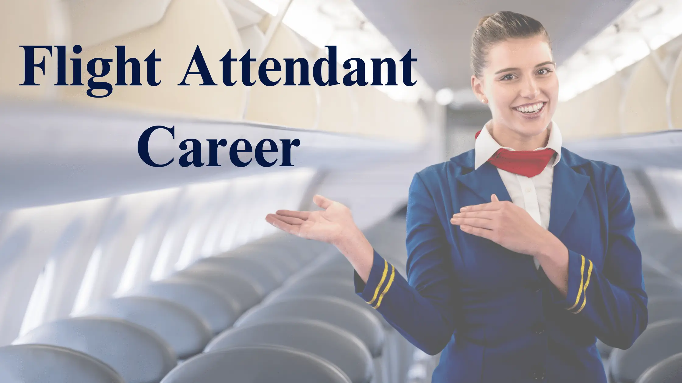 flight attendant career